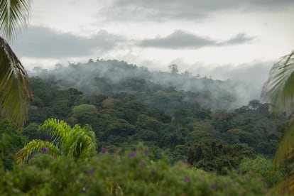 Paisaje de la reserva Indio Mai, Nicaragua.