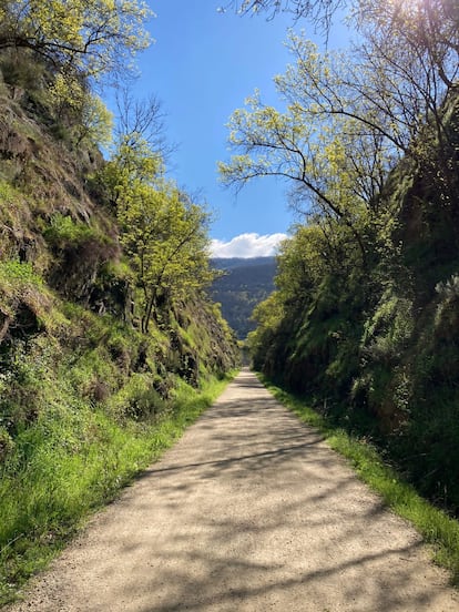 La Vía Verde de la Plata a su paso cerca de la localidad cacereña de Hervás (Extremadura).