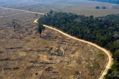 Vista aérea de uma região da Amazônia devastada em 24 de agosto de 2019, próximo a Porto Velho, em Rondônia.