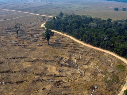 Vista aérea de uma região da Amazônia devastada em 24 de agosto de 2019, próximo a Porto Velho, em Rondônia.