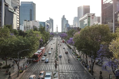 El emblemático Paseo de la Reforma cubierto de jacarandas.