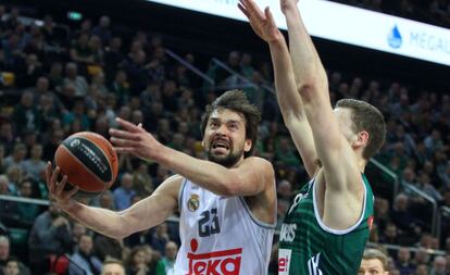 Llull ante Martynas Sajus