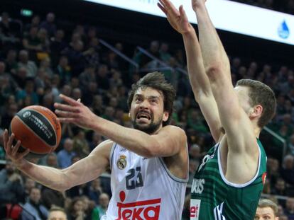 Llull ante Martynas Sajus