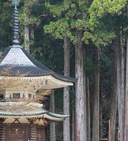 El secreto de la juventud estaba en un templo remoto en Japón.