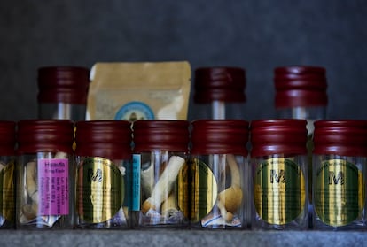 Hongos para uso de pacientes en un centro de servicio, en Oregon, Estados Unidos.