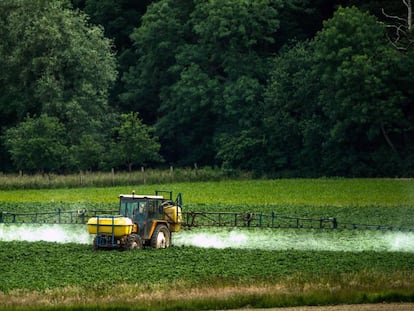 Aplicación de pesticidas en una explotación agrícola de Bailleul, en el norte de Francia.