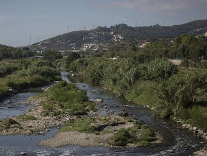 Tramo del curso inferior del río Besòs, en Santa Coloma de Gramenet, donde se planea realizar el proyecto de renaturalización