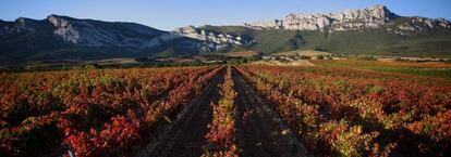 El primer certificado espec&iacute;fico para bodegas