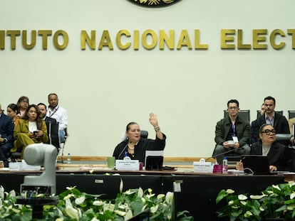 consejera Guadalupe Taddei Zavala