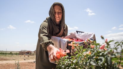 Ezîze, residente de Jinwar, recoge flores para hacer medicinas homeopáticas.