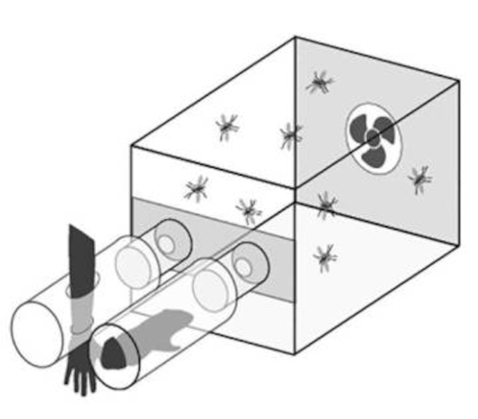 ☾ 𝐏𝐈𝐄𝐑𝐂𝐈𝐍𝐆𝐒 𝐄𝐍 𝐂𝐔𝐋𝐈𝐀𝐂𝐀𝐍 ☾ (@lunita_piercings_mx) •  Instagram photos and videos, image size:1960x1720