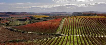 Paisaje de viñedos en La Rioja, ejemplo de cómo la mano humana puede transformar un espacio. En el caso de La Rioja, la identificación del territorio con la vitivinicultura es absoluta, hasta el punto de identificarse el nombre de la región con el vino de la misma.