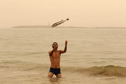 Un hombre juega con un pescado en la ciudad portuaria sureña de Sidón, Líbano.