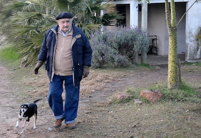 El presidente de Uruguay, José Mujica, camina en su granja en Montevideo, el 23 de junio de 2008.