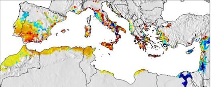 Unas  regiones del Mediterr&aacute;neo obtendr&aacute;n mayores beneficios del cultivo del olivo (en rojo) y otras, menores (en azul), con un aumento de la temperatura media de la Tierra de 1,8 gradso cent&iacute;grados. 