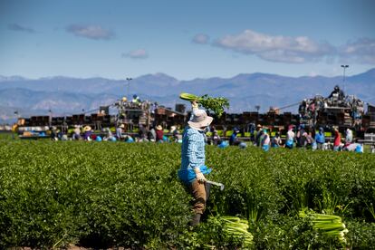 crisis migratoria estados unidos