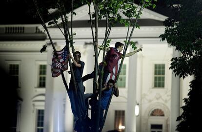 Unos jóvenes, encaramados a un árbol, celebran la muerte de Bin Laden en la Casa Blanca.