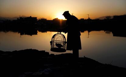 Un hombre sostiene una perdiz enjaulada durante un amanecer en la parte antigua de Kabul (Afganistán)