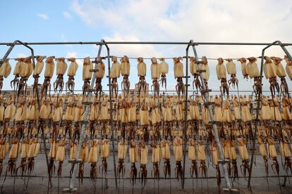 Imagen de una fábrica de procesamiento de calamares en el Este de China.