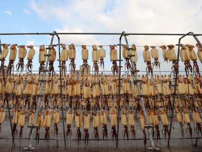 Imagen de una fábrica de procesamiento de calamares en el Este de China.