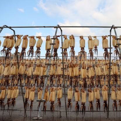 ZHOUSHAN, CHINA - NOVEMBER 5, 2022 - A worker collects dried squid at a seafood food processing factory in Zhoushan city, East China's Zhejiang province, Nov. 5, 2022. (Photo credit should read CFOTO/Future Publishing via Getty Images)