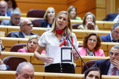 La senadora popular Ana María Beltrán interviene durante la sesión de control al Gobierno celebrada en el Senado, este martes.