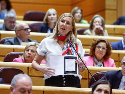 La senadora popular Ana María Beltrán interviene durante la sesión de control al Gobierno celebrada por el pleno del Senado este martes en Madrid.