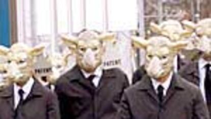 Miembros de Greenpeace protestan ante el Instituto de Patentes en Múnich contra las clonaciones animales.
