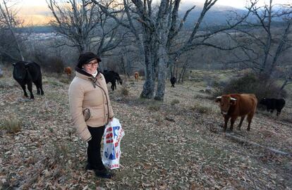 Charo Mantecas, ganadera, en Valsaín (Segovia), donde se ha alcanzado una sensación térmica de -17 grados.