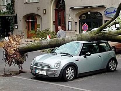 Árbol caído sobre un coche tras la fuerte tormenta. PLANO GENERAL - OBJETO