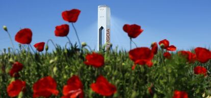 Amapolas en primer plano tapan una de las torres de la planta solar de Abengoa en Sanl&uacute;car la Mayor (Sevilla).