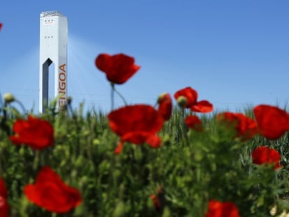 Amapolas en primer plano tapan una de las torres de la planta solar de Abengoa en Sanl&uacute;car la Mayor (Sevilla).