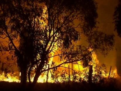 Casi cien muertos y otros tantos desaparecidos en Australia