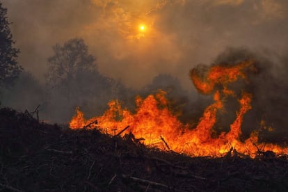 Les altes temperatures, la sequera i el fort vent que a la comunitat gallega estan intensificant els nombrosos incendis que cremen a la comunitat. En la imatge, les flames avancen cap la localitat de Constante, Lugo.