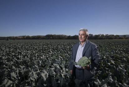 Los regantes del Canal Bajo del Alberche de Talavera de la Reina -en la imagen, su presidente, Santiago Muñoz- se quejan de que las reservas para Madrid les dejan con muy poca agua. La alternativa, usar el agua del Tajo, no les gusta porque es "de peor calidad", dice Muñoz.