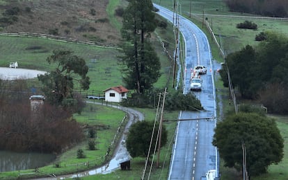Un árbol y un poste de luz caídos bloquean una carretera en la comunidad de Nicasio, en la zona septentrional del Estado.