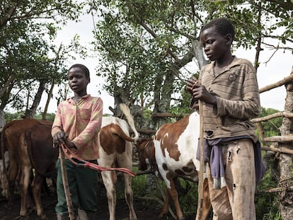 Los niños pastores de Mozambique