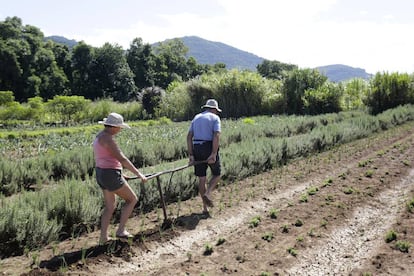 Los jubilados Iría y Jurandir de los Reyes, que siguen trabajando en el campo para complementar la renta familiar.