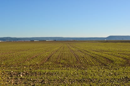 Paisaje frente a la protectora de animales Alba, en Camarma de Esteruelas (Madrid), el 21 de diciembre de 2023.