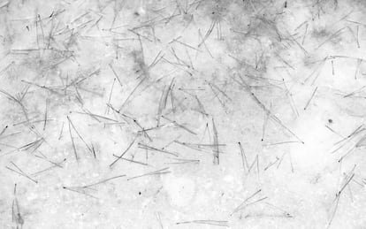 Fotografía perteneciente a la serie 'Pencil of nature' de Bohnchang Koo.