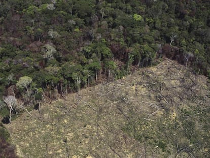 Una zona deforestada para el cultivo agrícola, en la Amazonia.