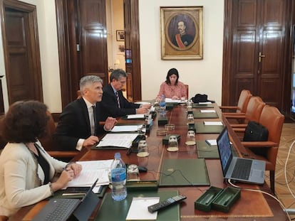 Interior Minister Fernando Grande-Marlaska (l) holds a video conference meeting on Monday.