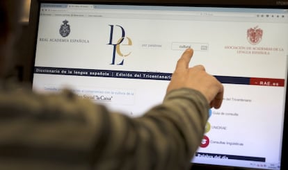 Un usuario busca en la versi&oacute;n web del Diccionario de la RAE.