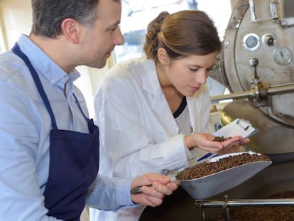 Epígrafes. Pistas para saber qué grupo corresponde a tu actividad