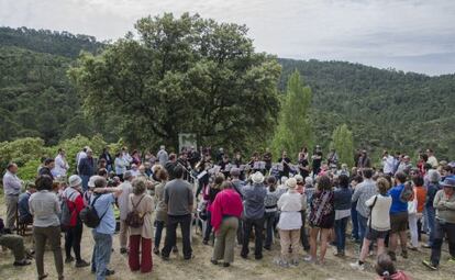 Una de las formaciones que intervino en el festival Música en Segura, durante su interpretación.