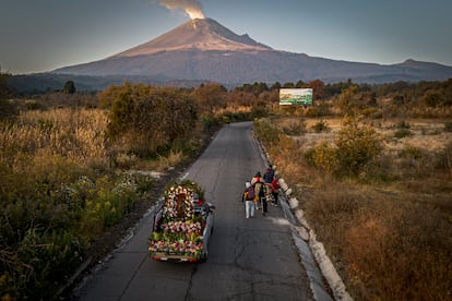 Entre las diversas peregrinaciones que salen de todos los estados, los peregrinos del Barrio de Santo Domingo, ubicado en el corazón de Puebla, recorren anualmente más de 130  kilómetros para llegar a la Basílica de Guadalupe. Los vecinos de este barrio han consolidado una familia alrededor de esta manda de fe que trasciende generaciones, pues José Roberto León 'El Meco', el más grande del barrio que ha caminado por El Paso de Cortés  por más de 40 años, acompaña a los más jóvenes que no llevan más de un año. Uno de los parajes más conocidos de las peregrinaciones es el Paso de Cortés, la brecha que existe entre los volcanes Popocatépetl e Iztaccíhuatl, más de 30 kilómetros de cerro, para cruzar de Puebla al Estado de México.