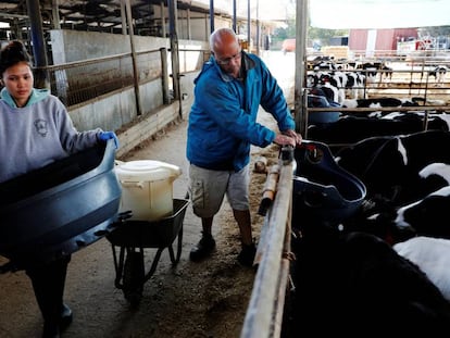 Un ganadero israelí afectado por el boicot palestino, en su granja de de Beer Tuvia, al sur de Israel.