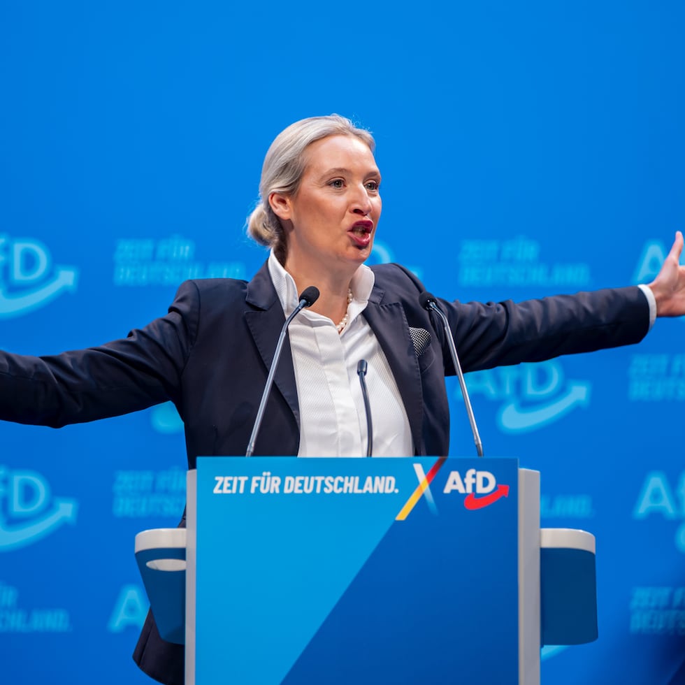 Alice Weidel: The unlikely leader driving the far-right AfD to new heights | International | EL PAÍS English