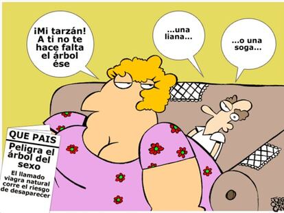 La viñeta muda