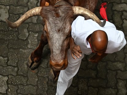 Un mozo del primer encierro de los Sanfermines es alcanzado por uno de los toros de la ganadería La Palmosilla, este viernes.